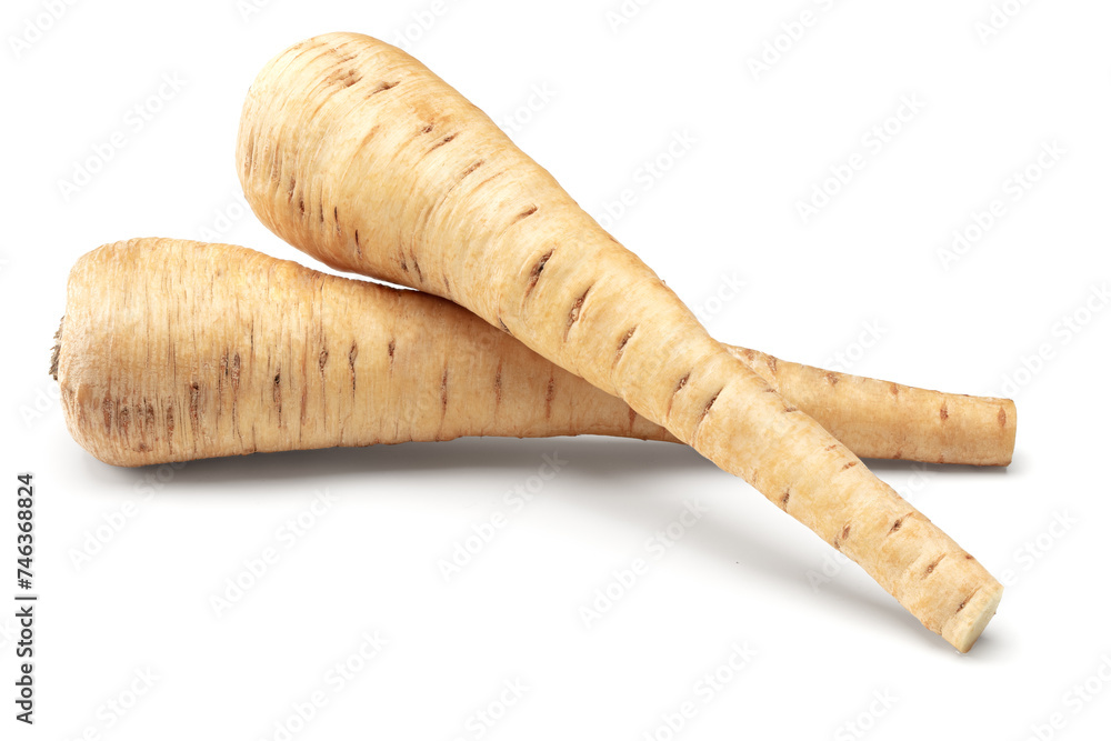 Parsnip root isolated on white background. clipping path