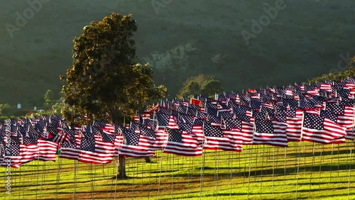 4k high quality footage. View on American USA flags waving in the wind against green Hills on sunset in nature outdoor background. Concept of 4th of July, Memorial Day, Independence Day, September 11 photo
