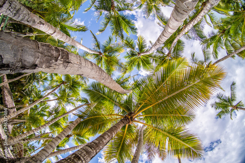 Fototapeta Naklejka Na Ścianę i Meble -  Paradise beach in the caribbean with wood house in the tropical world in dominican republic
