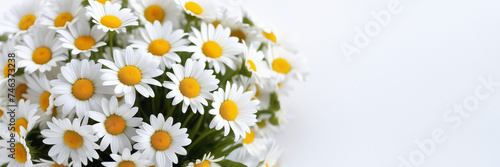 Flowers chamomile banner with a place for text. The concept of fortune telling and 8 march. bouquet of daisies. Copy space