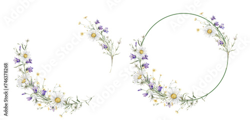 Wreath of yellow and white flower meadow, forest flowers. Watercolor hand painting illustration on isolate. Circlet of flowers with daisy or chamomile and violet bluebell. Botanical summer wildflower.