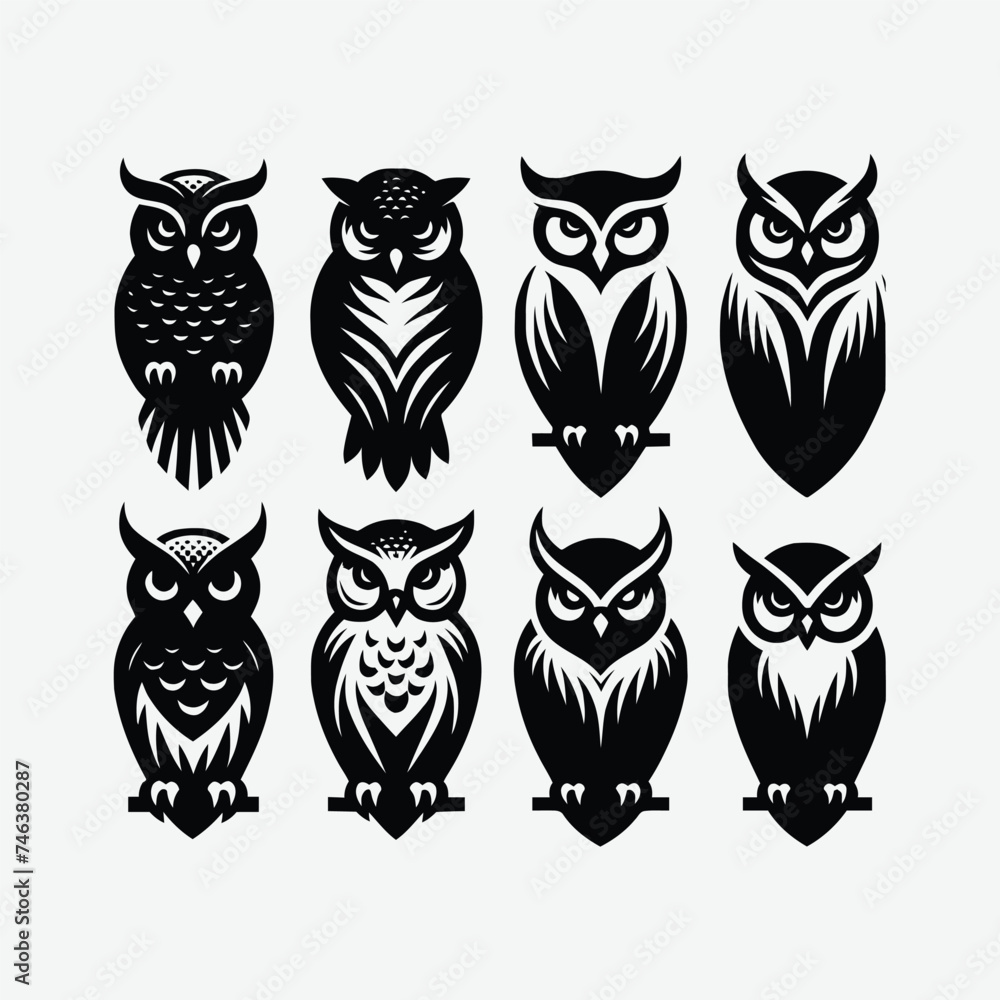 set of owls on white set of owls on white