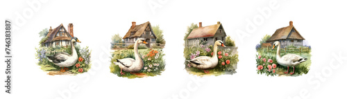 White goose near in flower yard set watercolor. Vector illustration design.