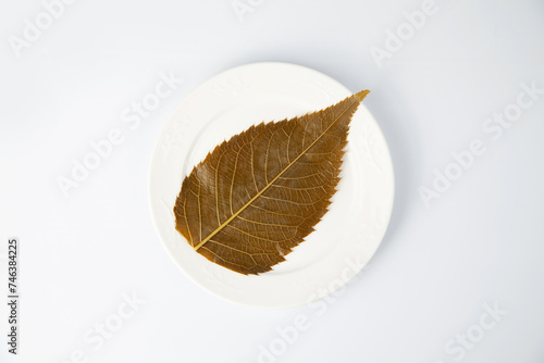 桜の葉 塩漬け 白背景