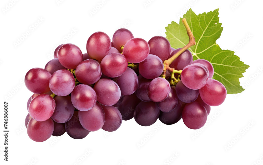 Bunch of Grapes With Green Leaves. A bunch of grapes with vibrant green leaves. The grapes are a rich purple hue and the leaves. on a White or Clear Surface PNG Transparent Background. Bunch of Grapes With Green Leaves. A bunch of grapes with vibrant green leaves. The grapes are a rich purple hue and the leaves. on a White or Clear Surface PNG Transparent Background.
