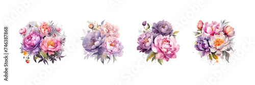 Peony flowers watercolor set. Vector illustration design.