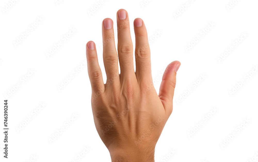 Hand Reaching Up Into the Air. A persons hand stretches upwards into the air, fingers extended as if reaching for something out of reach. on a White or Clear Surface PNG Transparent Background. Hand Reaching Up Into the Air. A persons hand stretches upwards into the air, fingers extended as if reaching for something out of reach. on a White or Clear Surface PNG Transparent Background.