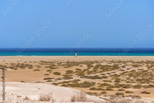 Traumstr  nde auf Fuerteventura