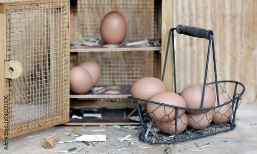 chicken eggs collected in little metal basket in front of  a opening eggs box...