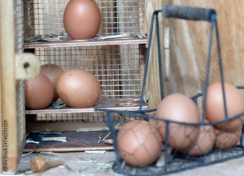 chicken eggs collected in little metal basket in front of a opening eggs box ...