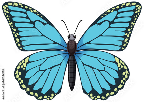A detailed vector graphic of a blue butterfly