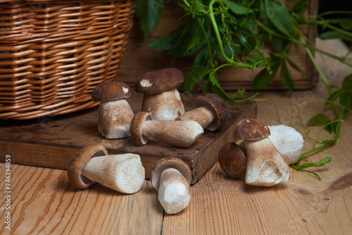Several porcini mushrooms on wooden background at autumn season..