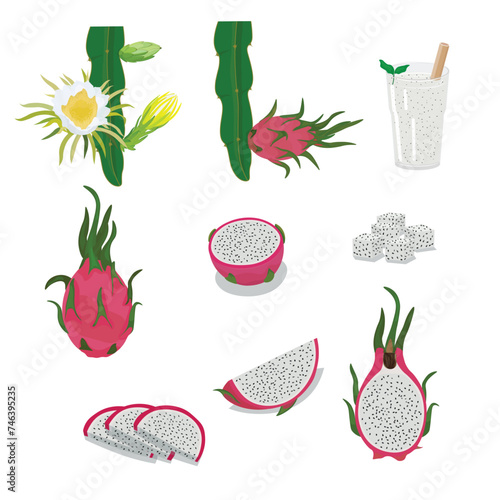 Set of White Dragon Fruit flat vector isolated on white background. Whole and sliced dragon fruit. Pitaya. Tropical fruits.