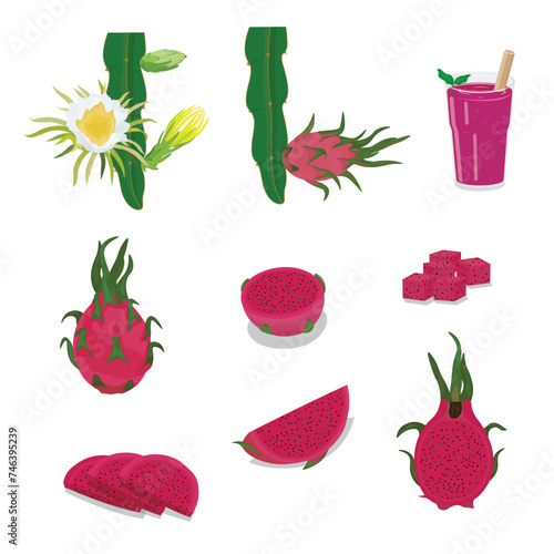 Set of Red Dragon Fruit flat vector isolated on white background. Whole and sliced dragon fruit. Pitaya. Tropical fruits.