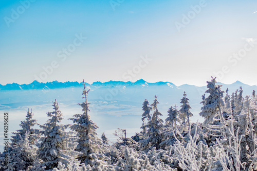 Fototapeta Naklejka Na Ścianę i Meble -  winter panorama of the Tatra Mountains seen from Babia Góra