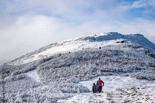 Fototapeta Naklejka Na Ścianę i Meble -  snow-covered and frozen Beskid Mountains