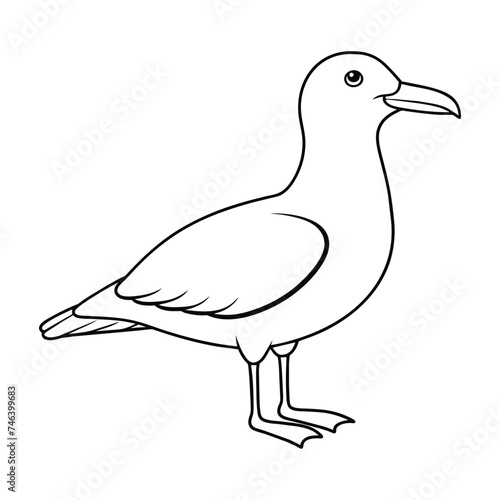 Vector of seagull illustration coloring page for kids