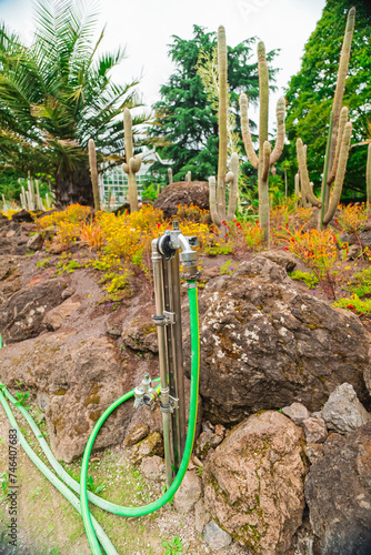 Gardening Tap with Hose photo