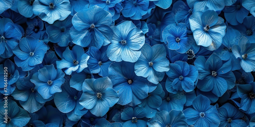 blue flowers full background top view 