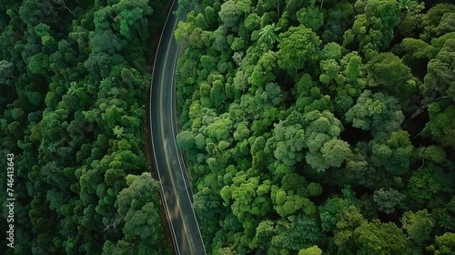 Aerial view road in the middle forest, Top view road going through green forest adventure, Ecosystem ecology healthy environment road trip travel. © Sasint