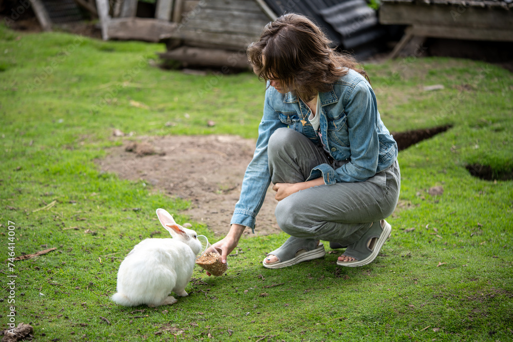 A girl feeding white rabbit with grain from a plastic cup on farm A girl feeding white rabbit with grain from a plastic cup on farm