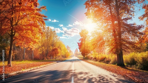 Autumn Fall Road landscape - Real trees tunnel, beautiful autumnal colors, sunny day