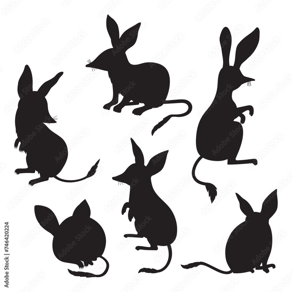 Australian animal bilbies set. Isolated black silhouette drawings. Vector illustration.