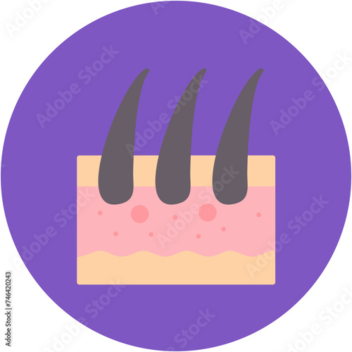 Skin Hair Icon