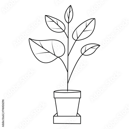 
Continuous one line drawing tree plant growth progress single line vector art illustration