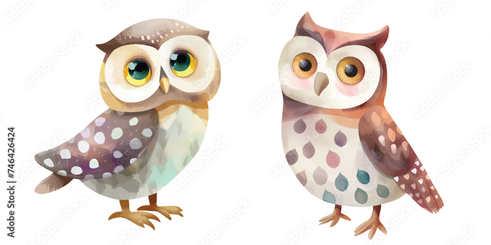 cute owl watercolour vector illustration cute owl watercolour vector illustration
