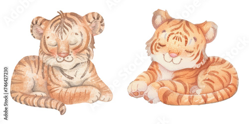 cute tiger watercolour vector illustration