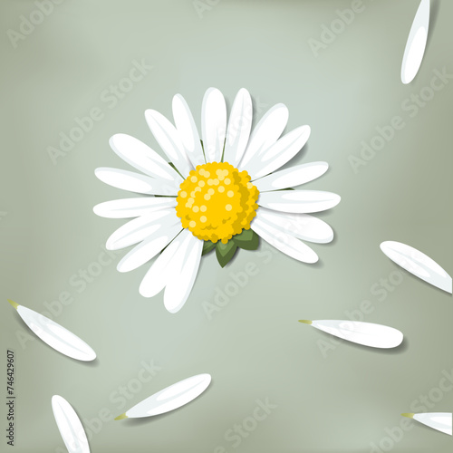 Daisy with counting petals (I Love You pick)