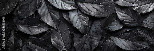 A black textured pile of black leaves seamless pattern dark background photo