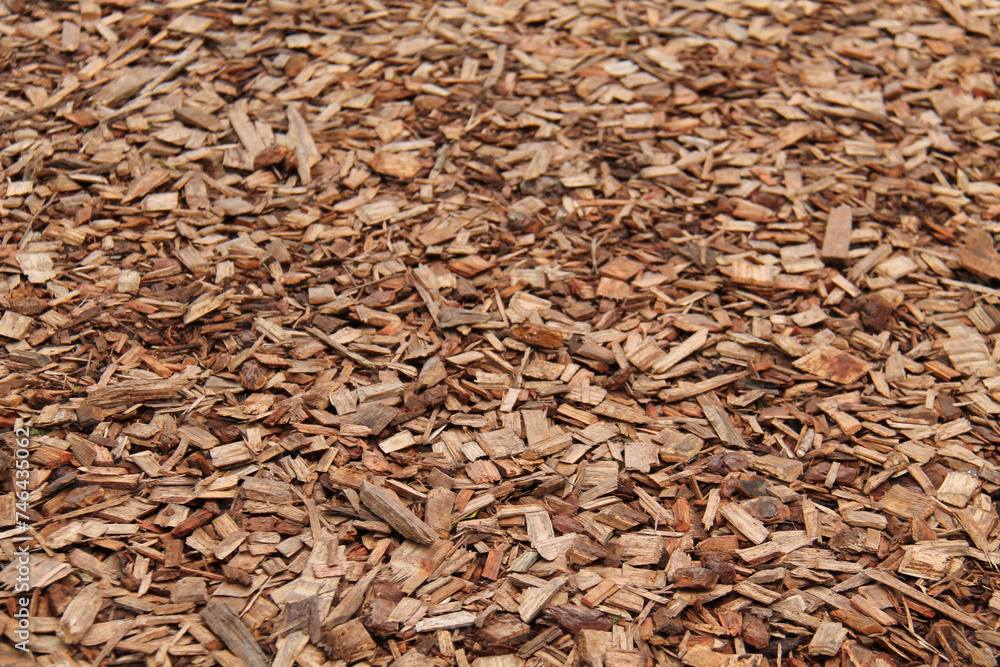 A Textured Background Image of Fresh Wood Chips.