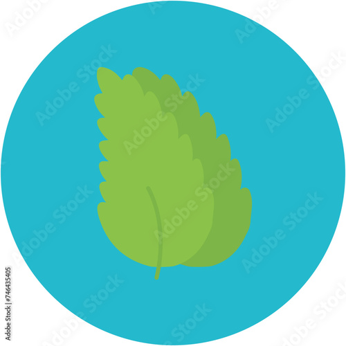 Spearmint Icon