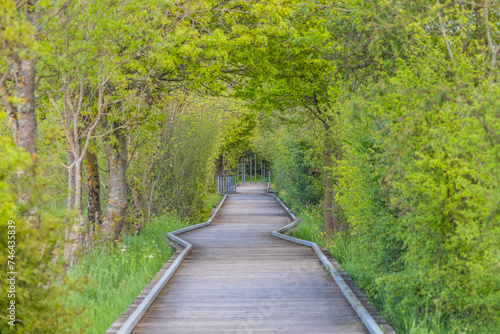 Ponton de bois marais nantes photo