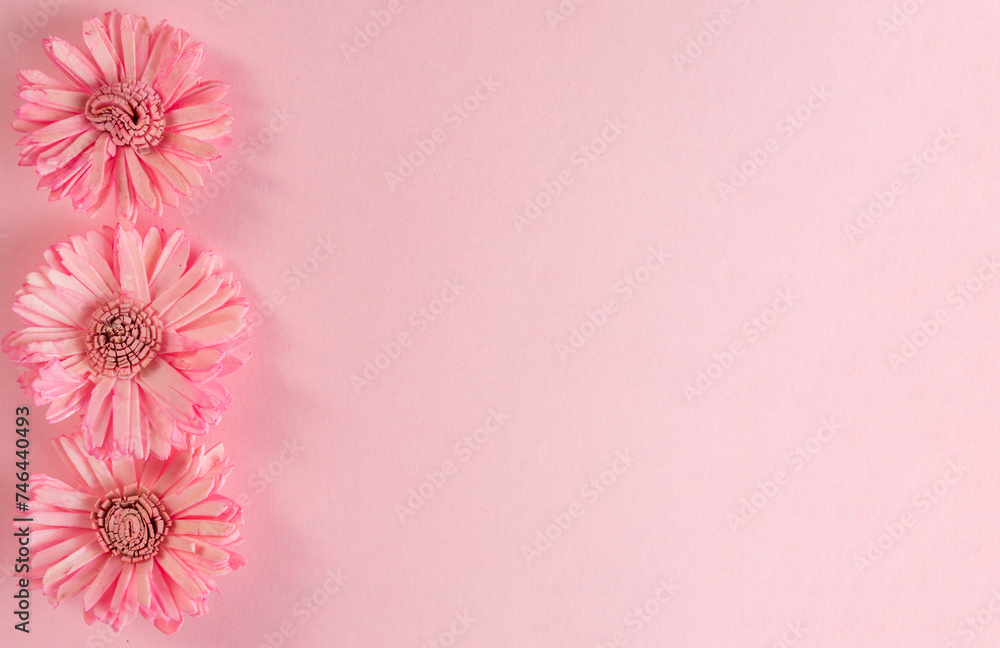 pink flower background pink flower background