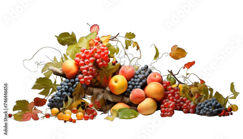 a vase with fruit and flowers on it png / transparent