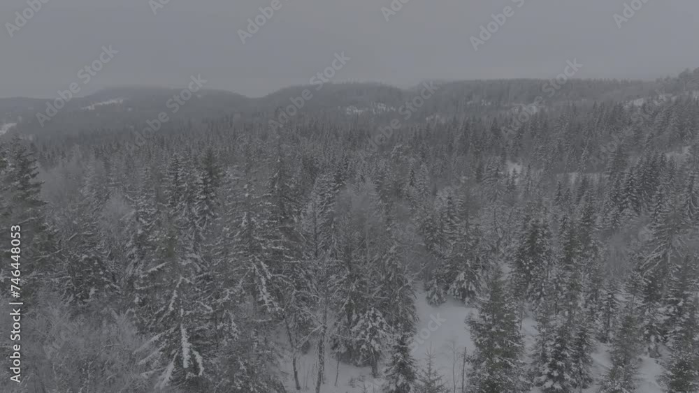Frozen winter forest covered in ice and snow captured with drone. In original quality. 4K, DLOG, Prores HQ Frozen winter forest covered in ice and snow captured with drone. In original quality. 4K, DLOG, Prores HQ