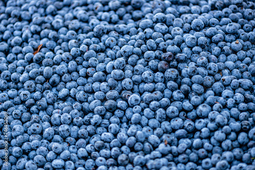 bilberry blueberry health benefits Lastly, bilberries contain high amounts of vitamins 