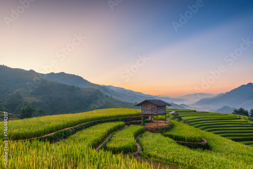 Rice fields on terraced of Mu Cang Chai, YenBai, Vietnam.