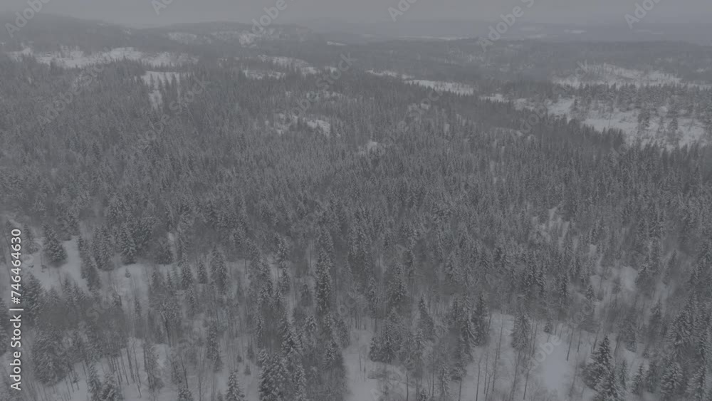 Frozen winter forest covered in ice and snow captured with drone. In original quality. 4K, DLOG, Prores HQ Frozen winter forest covered in ice and snow captured with drone. In original quality. 4K, DLOG, Prores HQ
