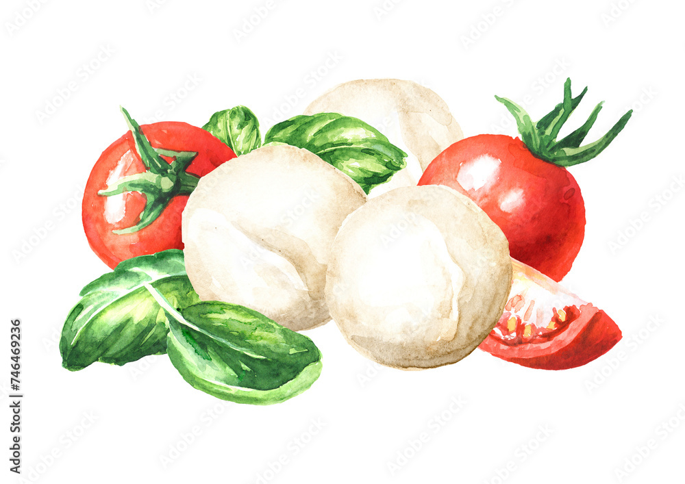 Mozzarella soft cheese with tomatoes and basil. Hand drawn watercolor illustration, isolated on white background Mozzarella soft cheese with tomatoes and basil. Hand drawn watercolor illustration, isolated on white background