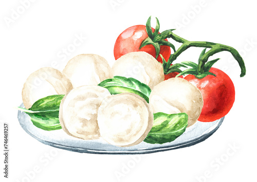 Mozzarella soft cheese.  Hand drawn watercolor illustration,  isolated on white background