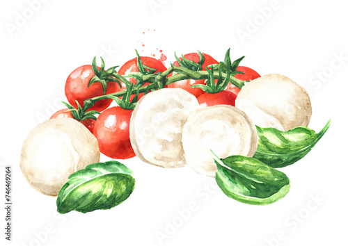 Mozzarella soft cheese. Hand drawn watercolor illustration  isolated on white background