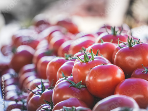 Beautiful red juicy tomatoes at the Siab bazaar in the ancient city of Samarkand in Uzbekistan, Siyob bozor photo