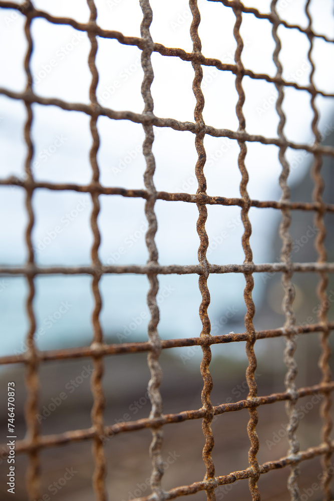 Fototapeta premium rusty fence 