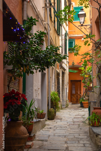 the beautiful narrow alley street with plants and colorful house  in Cinque Terre  Italy