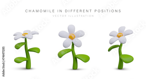 3D daisy in different positions. Colored flower in plasticine style