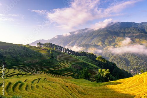 Cuadro en lienzo Rice fields on terraced of Mu Cang Chai, YenBai, Vietnam.